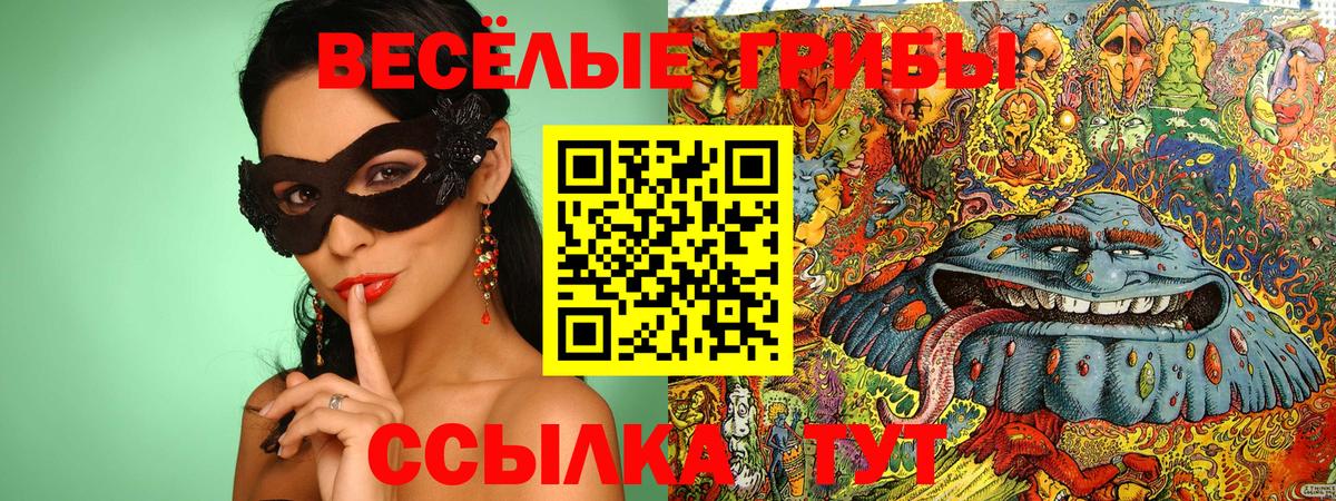 Темрюк  Галлюциногенные грибы мицелий  Галлюциногенные грибы мухоморы  Вход с VPN 