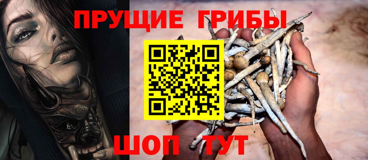 Галлюциногенные грибы MAGIC MUSHROOMS Темрюк
